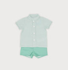 sardon boys mint check shirt and shorts set