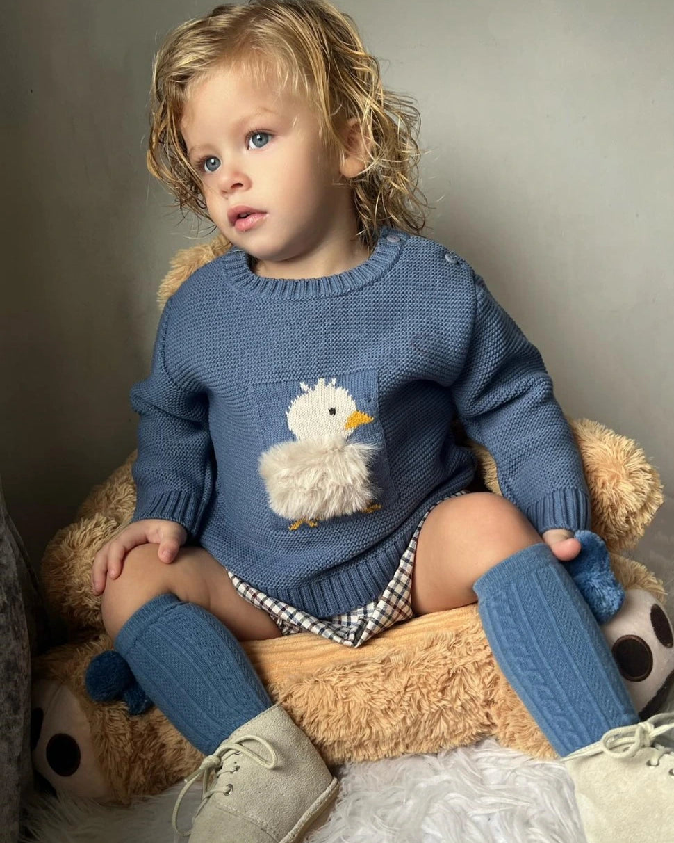sardon boys fluffy chick jumper and shorts set from tors childrens wear