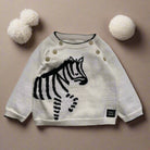 Children's sweater with zebra design on a plain background